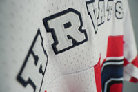 Vintage Legacy Jersey "Maestro"